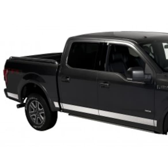 F-150 Reg Cab 2015-2020 Stainless Steel Body Side Molding Trim for 8.0' Bed Main Image