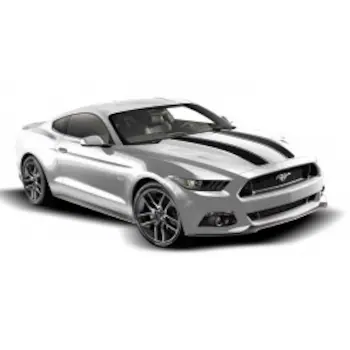 Mustang 2015-2020 Matte Black Dual Hood Custom Stripe Kit