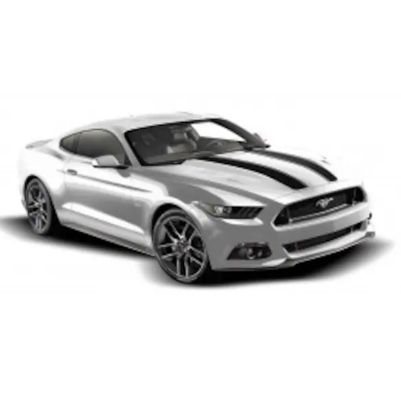 Mustang 2015-2020 Matte Black Dual Hood Custom Stripe Kit Main Image