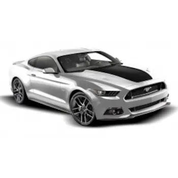 Mustang 2015-2020 Matte Black Hood Cowl Stripe Kit