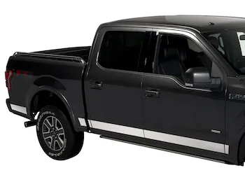 F-150 Reg Cab 2021-2025 Black Platinum Body Side Molding for 6.5' Bed