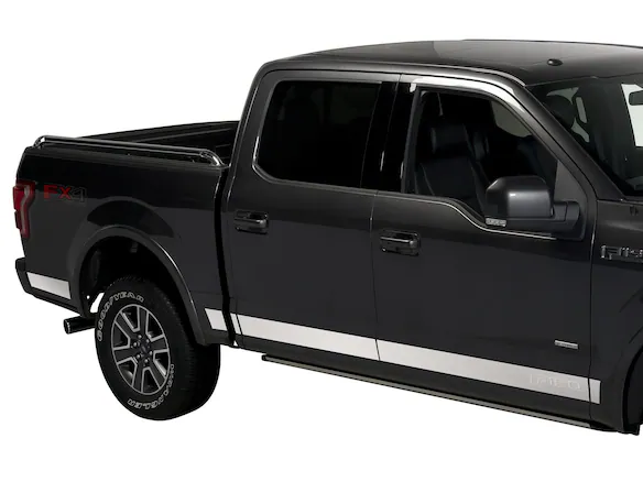 F-150 Reg Cab 2021-2025 Black Platinum Body Side Molding for 6.5' Bed Main Image