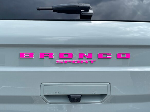 F-150 2021-2025 Tailgate Letters - Pink Main Image