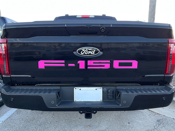 F-150 2021-2025 Tailgate Letters - Pink Main Image