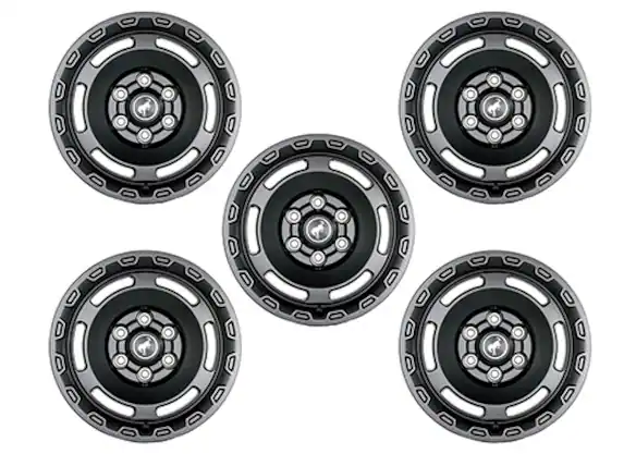 Bronco 2021-2023 Carbonized Gray Everglades Wheel Kit Main Image