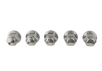 Ford Performance  LUG NUT Kit