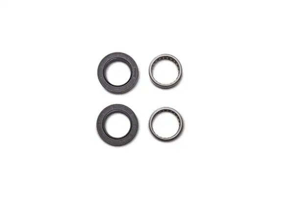 Mustang 1999-2020 8.8" IRS Bearing and Seal Kit Main Image