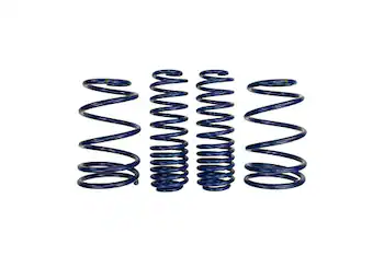 Mustang Shelby GT500 2007-2014 Springs