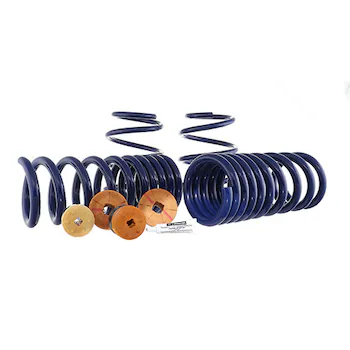 Mustang 2015-2023 Track Lowering Spring Kit