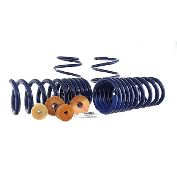 Mustang 2015-2023 Track Lowering Spring Kit Main Image