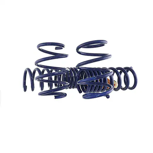 2024 MUSTANG 5.0L TRACK LOWERING SPRING KIT