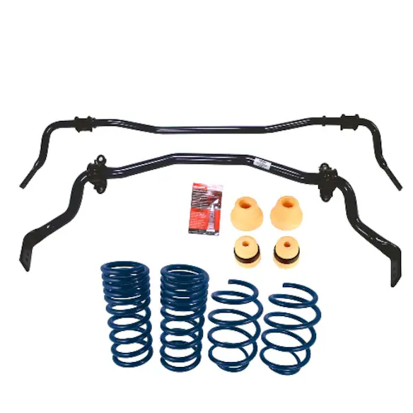 Mustang 2015-2023 Street Sway Bar and Spring Kit Main Image