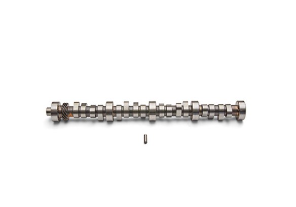 Mustang 1985-1995 Small Block V8 Hydraulic Roller Tappet Camshaft Main Image