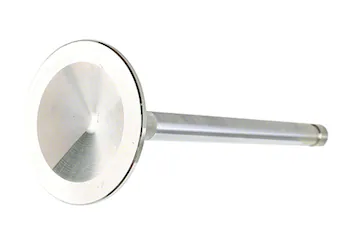 EXHAUST VALVE