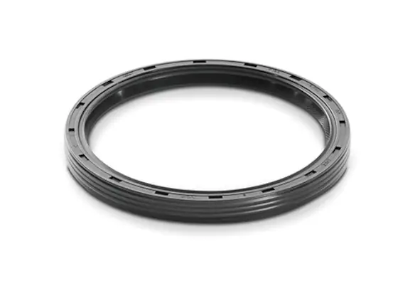 302 ONE PIECE REAR MAIN OIL SEAL Main Image